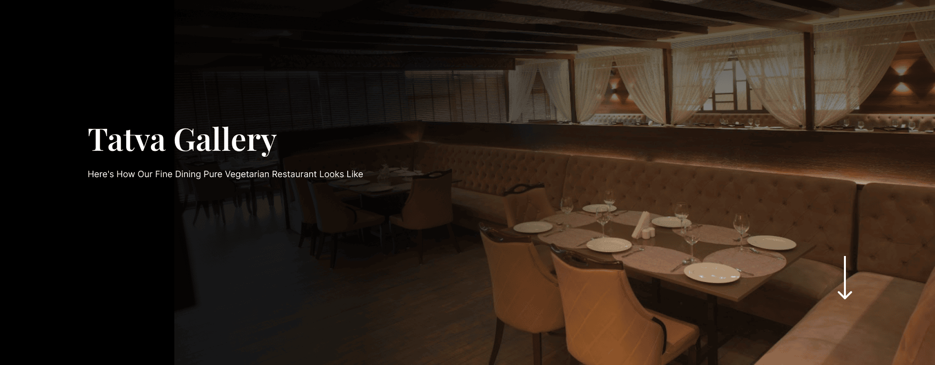 Ambience of Restaurant